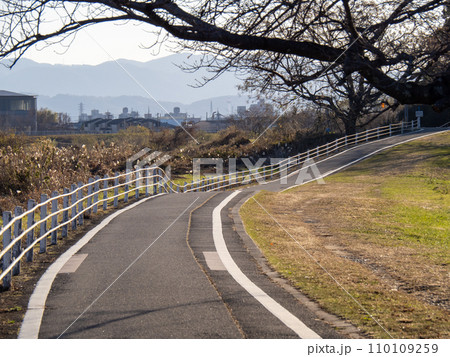 桂川サイクリングロード(京奈和自転車道)。京都府道801号京都八幡木津自転車道線。(京都市内) 桂川サイクリングロード(京奈和自転車道)。京都府道801号京都八幡木津自転車道線。(京都市内) 110109259