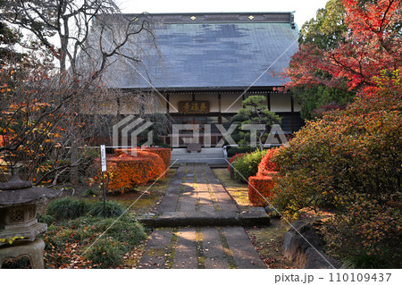 多福寺　紅葉　本堂　埼玉県三芳町　 110109437