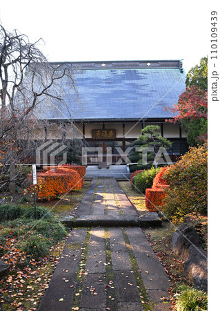 多福寺 紅葉 本堂 埼玉県三芳町 多福寺 紅葉 本堂 埼玉県三芳町 110109439