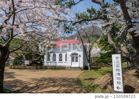 函館公園の桜 函館公園の桜 110109723