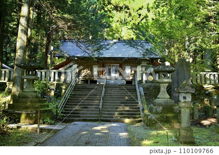 赤城山南麓の赤城神社（三夜沢）の参道から拝殿 110109766