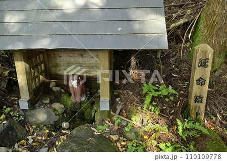 赤城山粕川滝沢の延命猿水 赤城山粕川滝沢の延命猿水 110109778