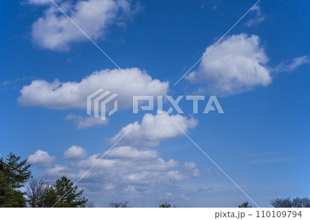 青空に浮かぶ白い雲《風景・背景素材》 青空に浮かぶ白い雲《風景・背景素材》 110109794