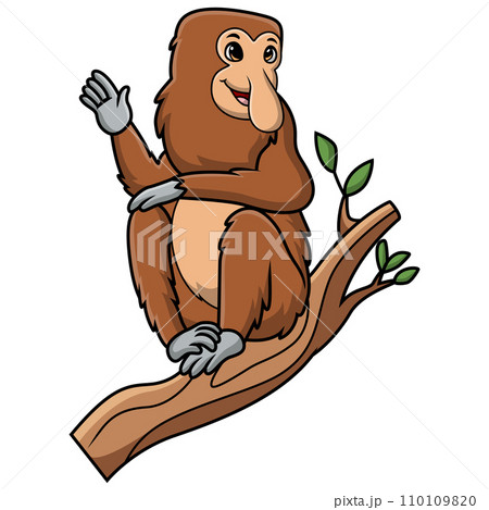 Cute proboscis monkey cartoon on white background 110109820