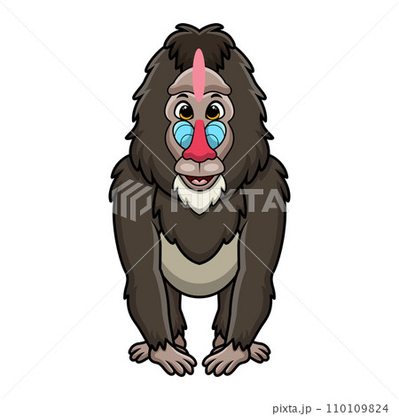 Cute mandrill baboon cartoon on white background Cute mandrill baboon cartoon on white background 110109824