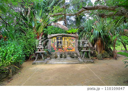 八重山諸島由布島 亜熱帯地方由布島 八重山諸島由布島 亜熱帯地方由布島 110109847