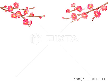 梅 水彩 背景イラスト 梅 水彩 背景イラスト 110110011