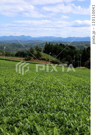 夏の終わり、大和、奈良の山添村、大和茶の産地と神野山、パーク神野山から眺める紀伊半島の内陸風景 夏の終わり、大和、奈良の山添村、大和茶の産地と神野山、パーク神野山から眺める紀伊半島の内陸風景 110110041