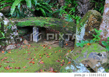 国の名勝石垣島の「宮良殿内庭園」　日本山水法式庭園 110110122