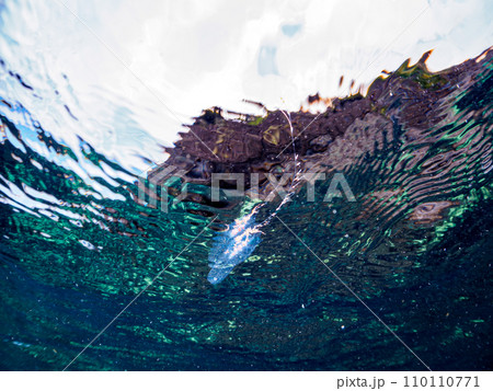 ヒリゾ浜の不思議なヨウラククラゲ（ヨウラククラゲ科）。  静岡県伊豆半島賀茂郡南伊豆町中木から渡し船 110110771