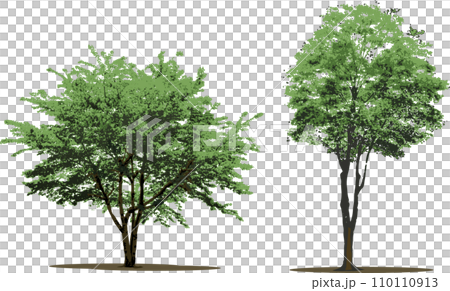 一棵樹的插圖，葉子茂盛，樹，樹 110110913