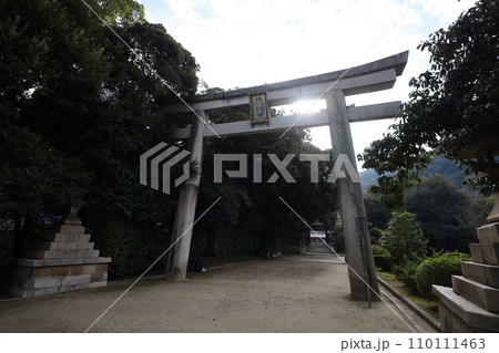 やはたのはちまんさん、八幡宮、秋の石清水八幡宮、御神徳、散歩、 やはたのはちまんさん、八幡宮、秋の石清水八幡宮、御神徳、散歩、 110111463