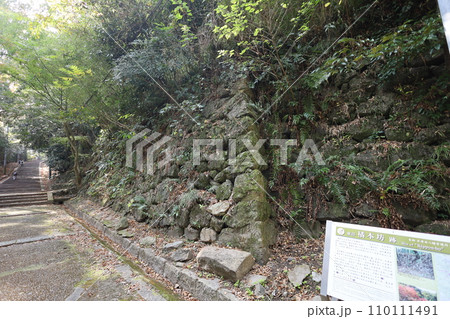 やはたのはちまんさん、八幡宮、秋の石清水八幡宮、御神徳、散歩、 やはたのはちまんさん、八幡宮、秋の石清水八幡宮、御神徳、散歩、 110111491