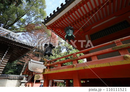 やはたのはちまんさん、八幡宮、秋の石清水八幡宮、御神徳、散歩、 110111521