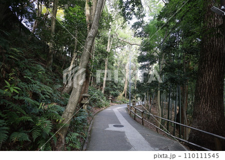 やはたのはちまんさん、八幡宮、秋の石清水八幡宮、御神徳、散歩、 やはたのはちまんさん、八幡宮、秋の石清水八幡宮、御神徳、散歩、 110111545
