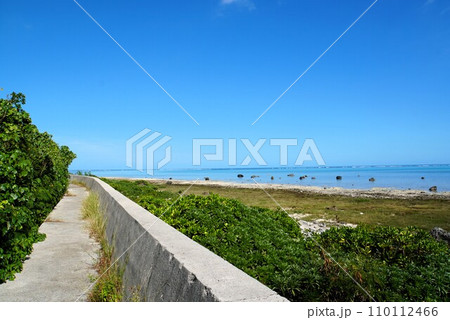 白保海岸の風景 石垣島 白保海岸の風景 石垣島 110112466