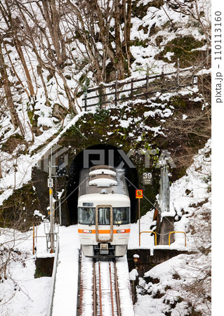 【高山本線】トンネルを抜け鉄橋を渡る普通列車 110113160