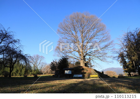 白井城址 白井城址 110113215