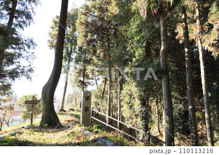 白井城址 白井城址 110113216