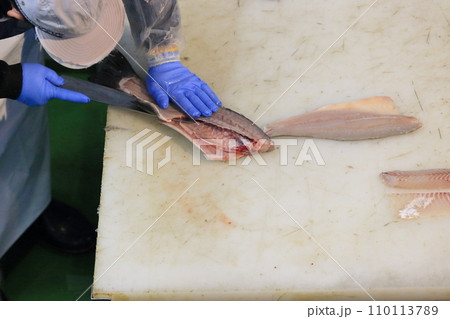 魚をさばく魚屋　魚の三枚おろし 110113789