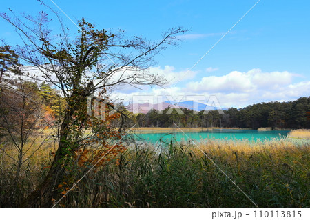 裏磐梯　五色沼　紅葉　弁天沼 110113815