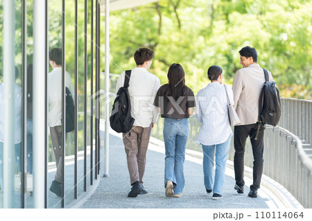 若いビジネスパーソンの男女 若いビジネスパーソンの男女 110114064