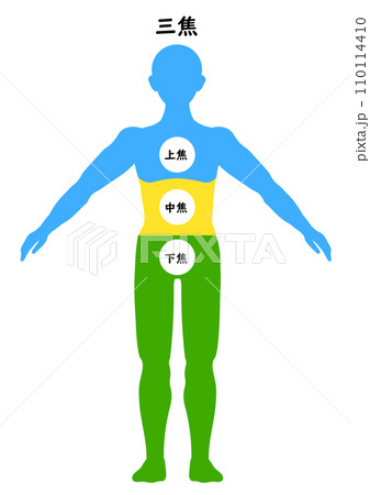 三焦を表す全身のシルエット 三焦を表す全身のシルエット 110114410