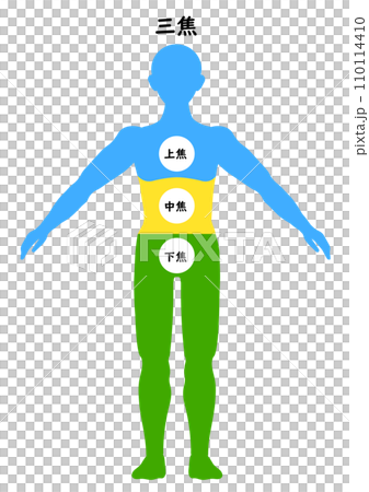 三焦を表す全身のシルエット 三焦を表す全身のシルエット 110114410