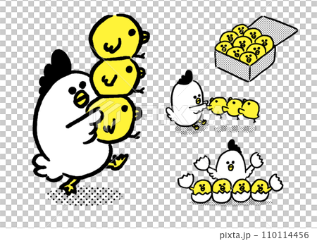 A parent and child of round and cute chickens A parent and child of round and cute chickens 110114456