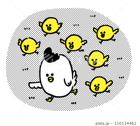 丸っこくてかわいいにわとりの親子 丸っこくてかわいいにわとりの親子 110114462