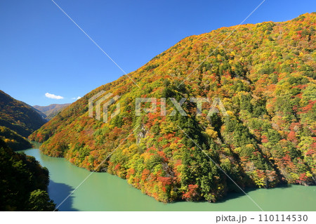 長野県松本市安曇 エメラルドグリーンの梓川の川沿いの紅葉の景色 長野県松本市安曇 エメラルドグリーンの梓川の川沿いの紅葉の景色 110114530