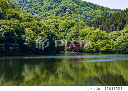 群馬県安中市の春　新緑のアプトの道　碓氷湖 110115254
