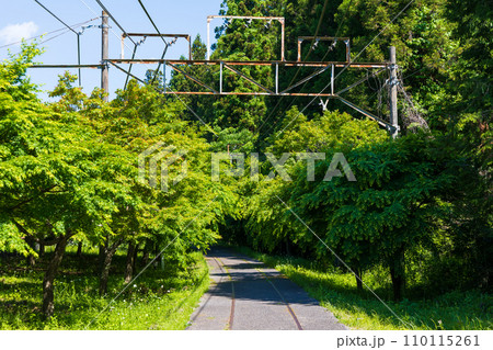 群馬県安中市の春　新緑のアプトの道 110115261