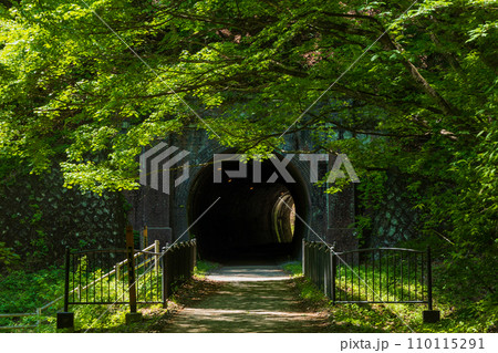 群馬県安中市の春　新緑のアプトの道　歴史あるトンネル 110115291
