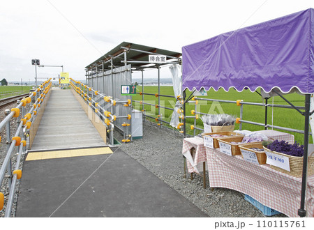 ラベンダー畑駅 JRラベンダー畑駅 ラベンダーばたけ F41 富良野線 JR富良野線 ラベンダー畑駅 JRラベンダー畑駅 ラベンダーばたけ F41 富良野線 JR富良野線 110115761