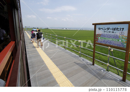 ラベンダー畑駅　JRラベンダー畑駅　ラベンダーばたけ　F41　富良野線　JR富良野線 110115778