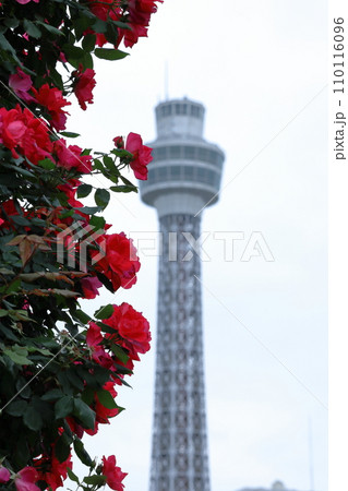 花の女王 花の女王 110116096