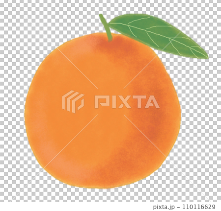 orange illustration art 110116629