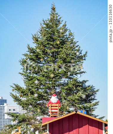 クリスマスツリーのある風景 110116630