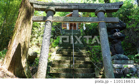 神社と鳥居 110116631