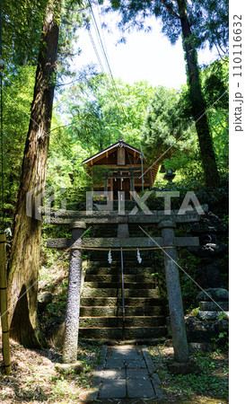 神社と鳥居 110116632