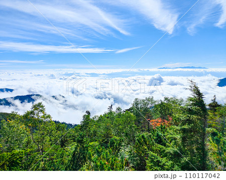夏の常念岳登山（三股登山口～前常念岳：八ヶ岳方面の眺め） 110117042