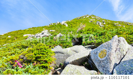 夏の常念岳登山（三股登山口～前常念岳） 110117101