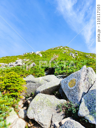 夏の常念岳登山(三股登山口~前常念岳) 夏の常念岳登山(三股登山口~前常念岳) 110117103
