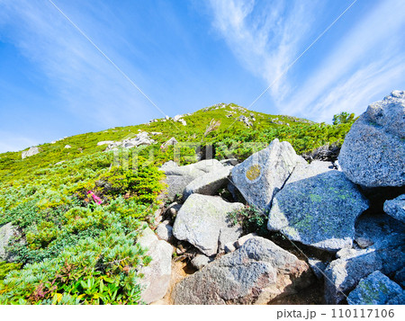 夏の常念岳登山(三股登山口~前常念岳) 夏の常念岳登山(三股登山口~前常念岳) 110117106