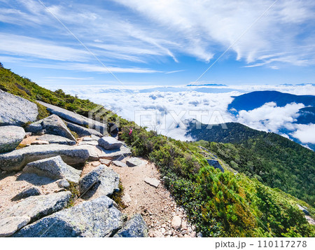夏の常念岳登山（三股登山口～前常念岳：八ヶ岳方面の眺め） 110117278