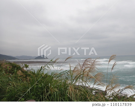 宮崎県 いるか岬 海 宮崎県 いるか岬 海 110117839