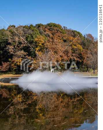 池に映る紅葉と霧の噴水（千葉県松戸市・21世紀の森と広場） 110118641