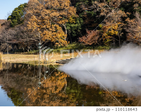池に映る紅葉と霧の噴水（千葉県松戸市・21世紀の森と広場） 110118643