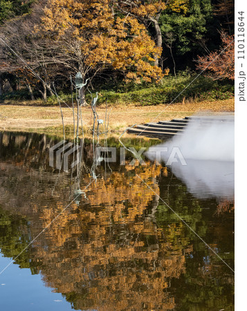 池に映る紅葉と霧の噴水(千葉県松戸市・21世紀の森と広場) 池に映る紅葉と霧の噴水(千葉県松戸市・21世紀の森と広場) 110118644